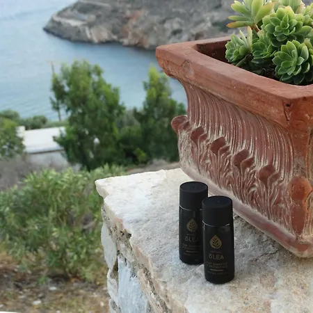 Gaia House, Ios Greece וילה *