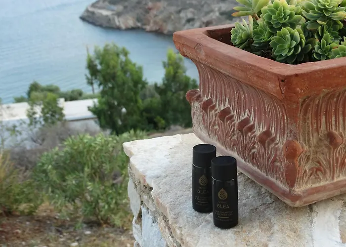 Gaia House, Ios Greece Villa *